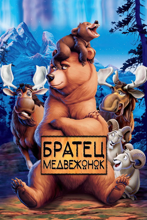 Постер «Братец медвежонок»