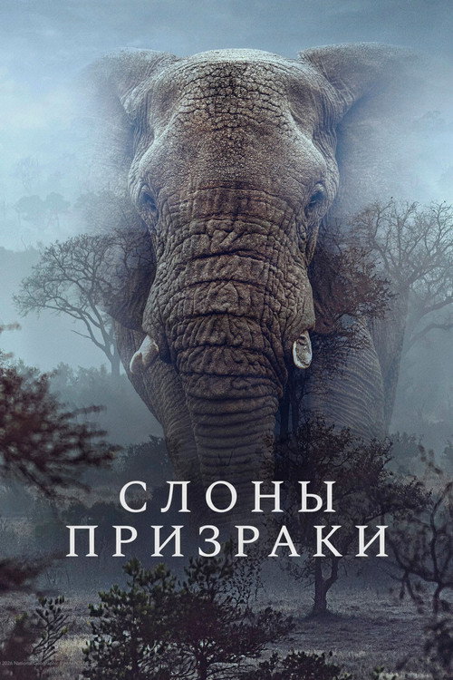 Постер «Слоны-призраки»
