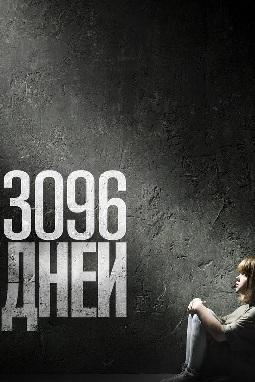 Постер «3096 дней»
