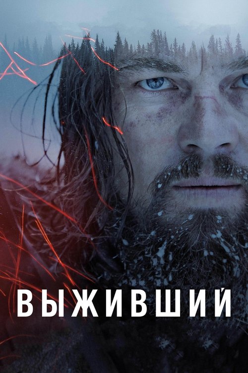 Постер «Выживший»