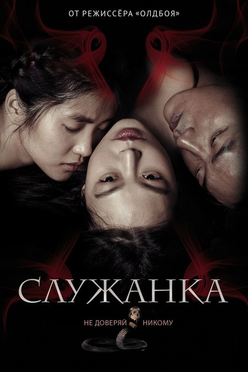 Постер «Служанка»