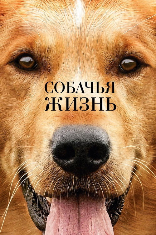 Постер «Собачья жизнь»