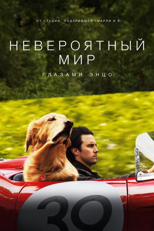 Постер «Невероятный мир глазами Энцо»