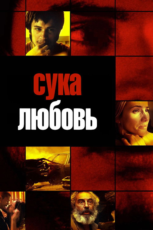 Постер «Сука-любовь»